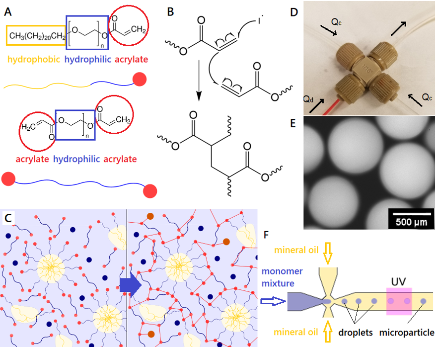 Leveraging soft materials for high concentration formulation of biologics